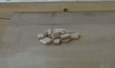 domino 2.jpg