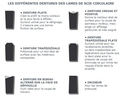 Denture scie circulaires.JPG