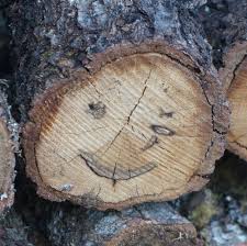 Bois 2014.jpg