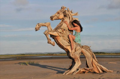 Horse.jpg