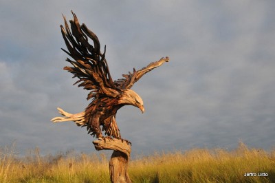 Eagle.jpg