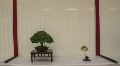 _IGP2637.jpg