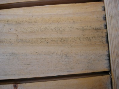 plateau table ext2.JPG