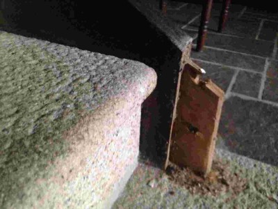tenon limon.jpg