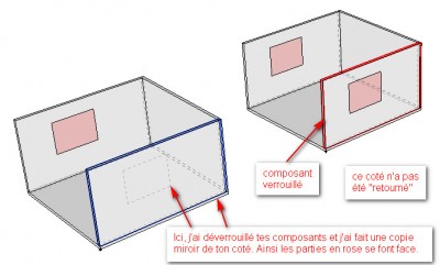 Copie miroir Têtedebois.jpg