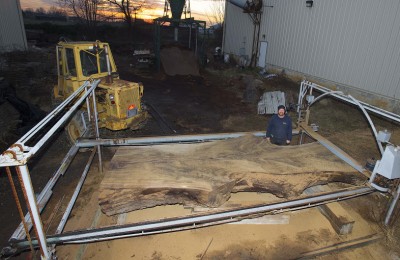 Grande_black_walnut..jpg