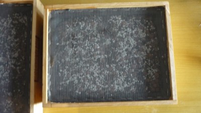 P1060567 20-19-32.JPG