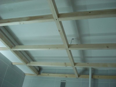 Treillis plafond-1.jpg