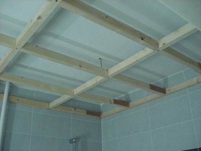 Treillis plafond-2.jpg