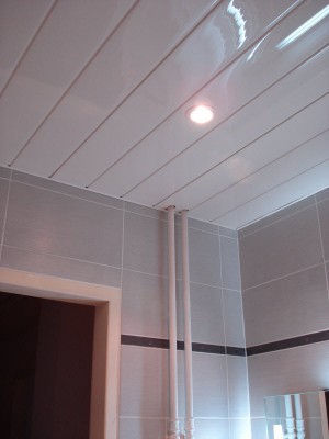 Plafond PVC-2.jpg