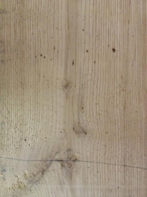 photo9.JPG