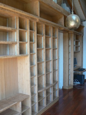 Bibliothèque 002.jpg
