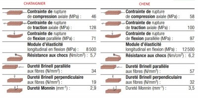 Chataignier-Chene.JPG