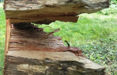 La fissure, vue de profil.