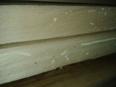 20140820_101055.jpg