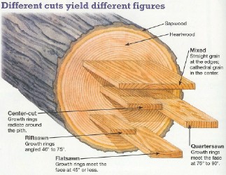 log_cut.jpg
