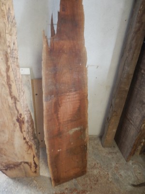 PB010150.JPG