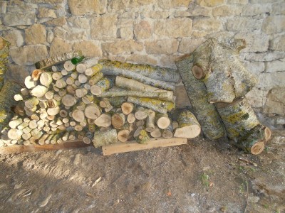 DSCN1639.JPG