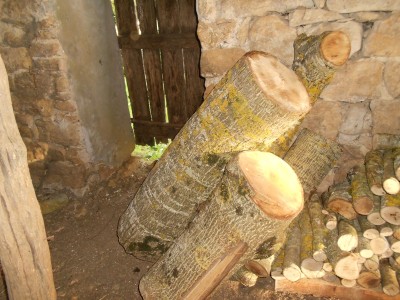 DSCN1640.JPG