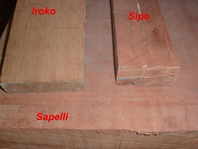 P1190294c1s.jpg