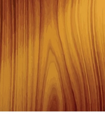 Flamme du bois.jpg