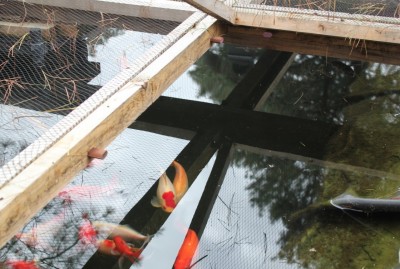 Bassin2.jpg