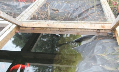 Bassin3.jpg