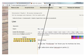 Montage pour lien 1.jpg