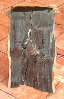P 02.jpg