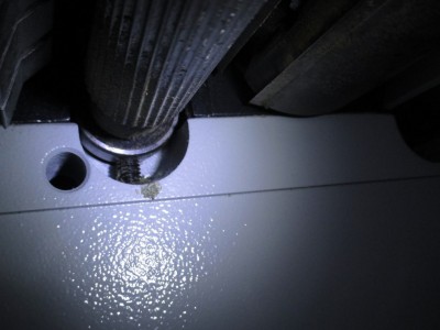 IMG_2056 (Copier).JPG