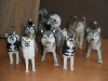 DSCF0307.JPG