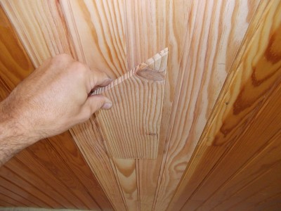 PLafond 19.jpg
