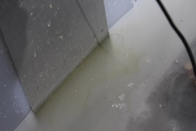 p_IMG_7868.JPG