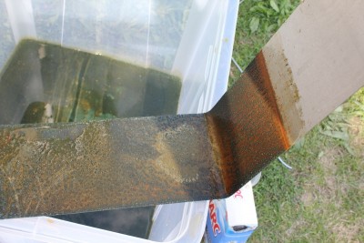 p_IMG_7875.JPG