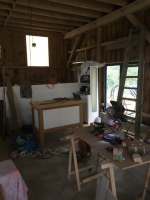 IMG_1389.jpg