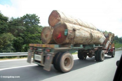 malaysia0082.jpg