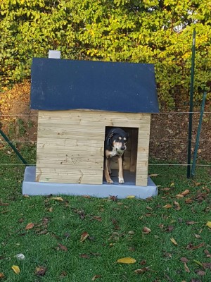 Resized_20161111_162209.jpeg