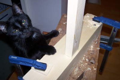 En gros plan (l'assistant est intriguÃ© par l'appareil photo)