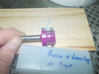 Fraise-à-tiroir.jpg