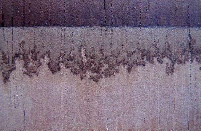 Essai Brou de noix2.jpg