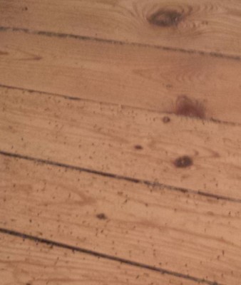 Parquet 2.jpg