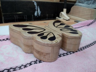 Boîte Papillon 101.jpg