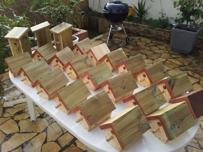 Des petits nichoirs pour le verger bio d'un copain