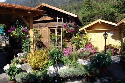 petit_chalet1.jpg