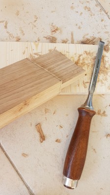 premier tenon!
