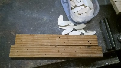WP_20171108_001.jpg