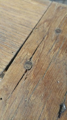 20171116_112121.jpg