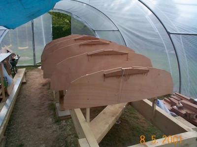 026 squelette insula de dos.jpg