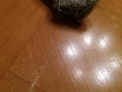 20171126_191042.jpg