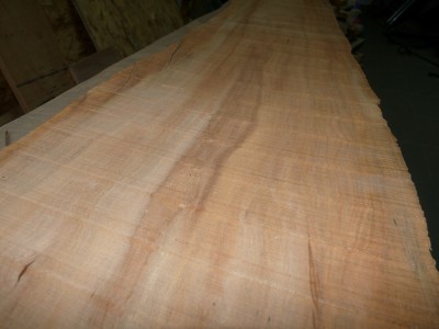 planche.jpg